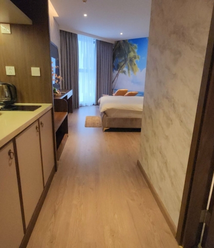 Thi công  Hoàn thiện căn hộ cao cấp quận 1 